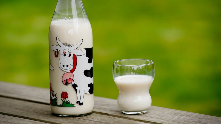 Le lait fait-il grossir ?